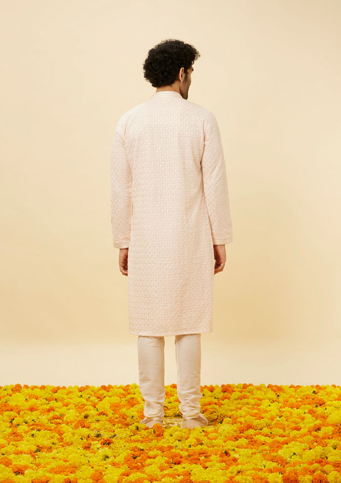 Twamev Men Rose Shadow Pink Chikankari Kurta