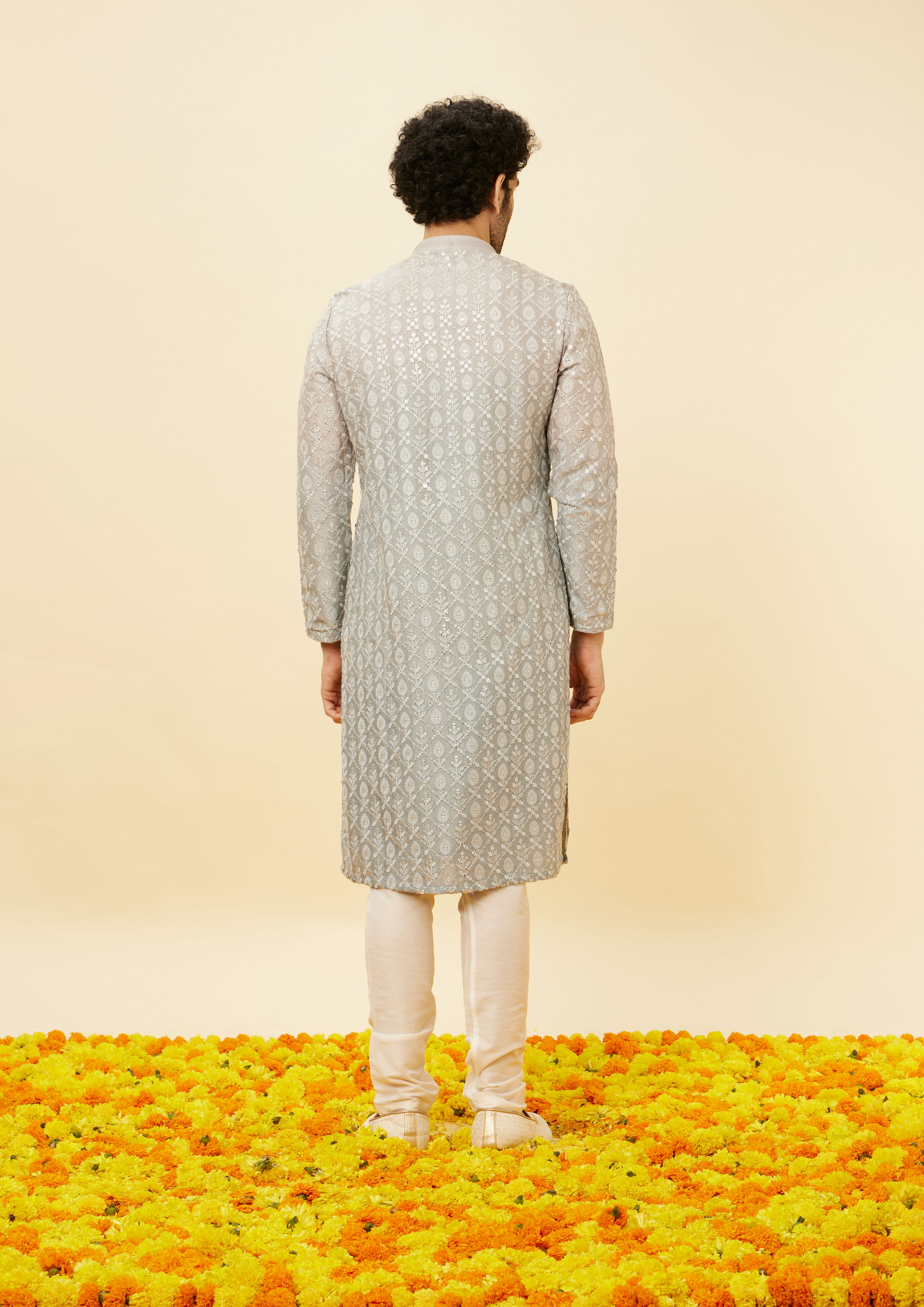 alt message - Twamev Men Shell Grey Fern Patterned Sequined Kurta image number 4