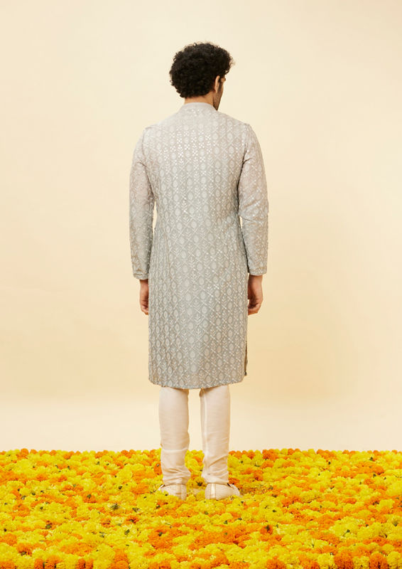 alt message - Twamev Men Shell Grey Fern Patterned Sequined Kurta image number 4