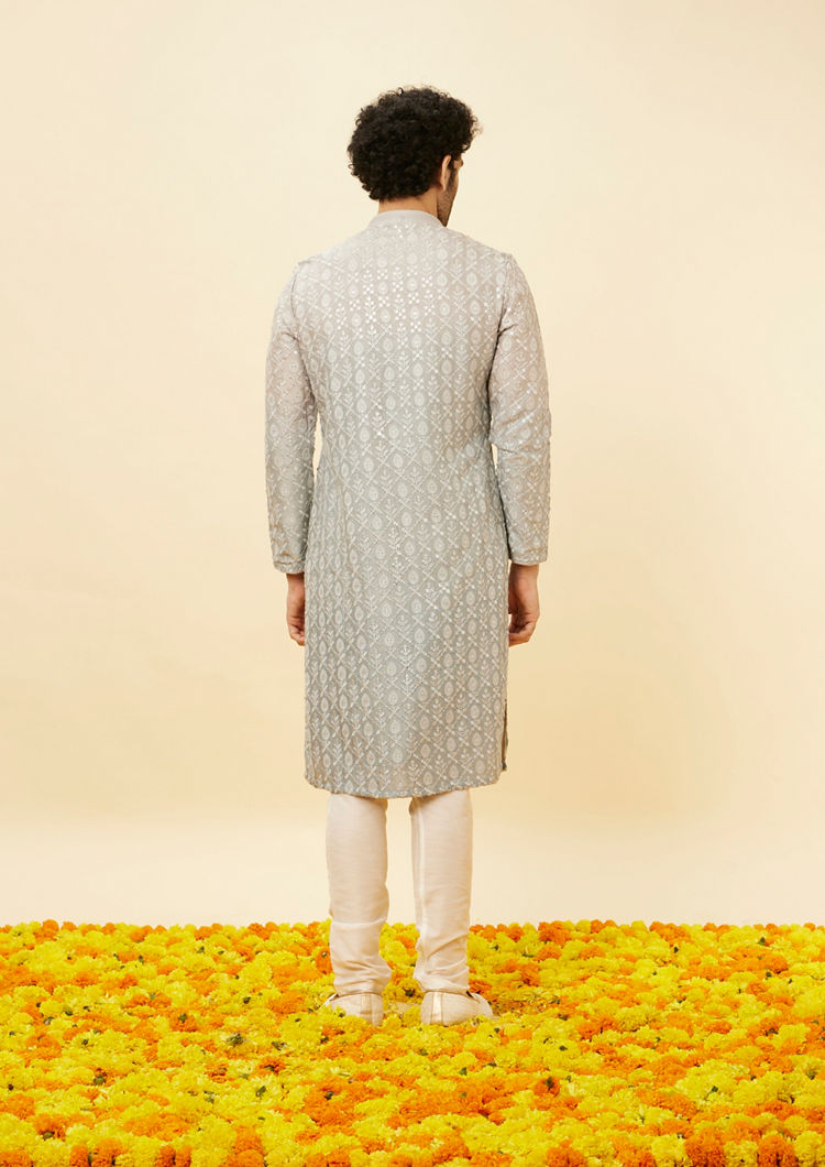 Twamev Men Shell Grey Fern Patterned Sequined Kurta