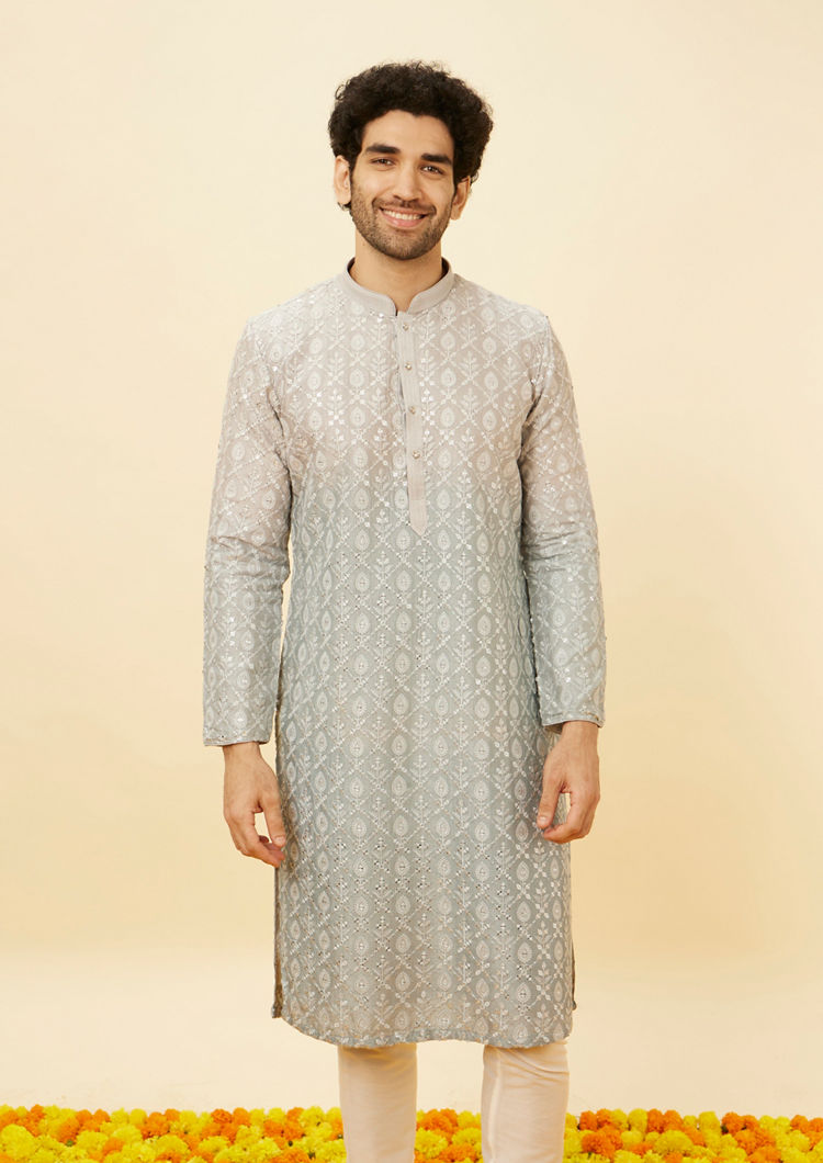 alt message - Twamev Men Shell Grey Fern Patterned Sequined Kurta image number 0