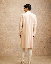 Twamev Men Peach Silk Embroidered Kurta Set