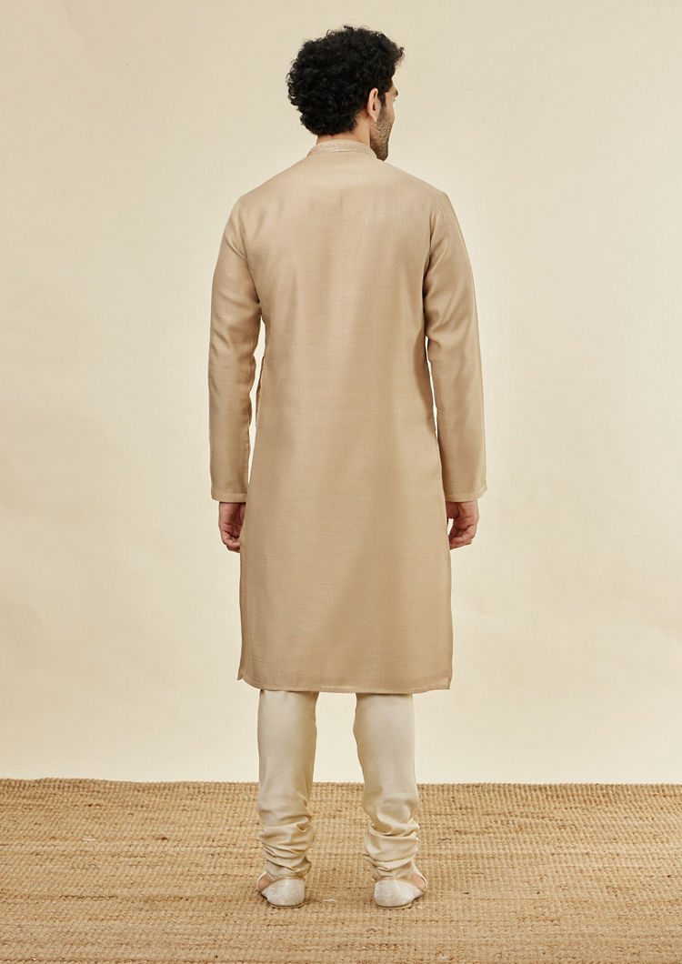 Twamev Men Biscuit Threaded Elegance Kurta Set