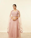 Light Pink Stone Work Lehenga