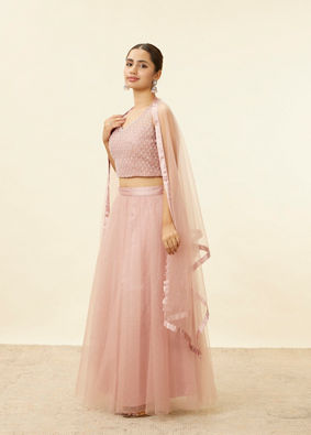 alt message - Mohey Women Light Pink Stone Work Lehenga image number 3