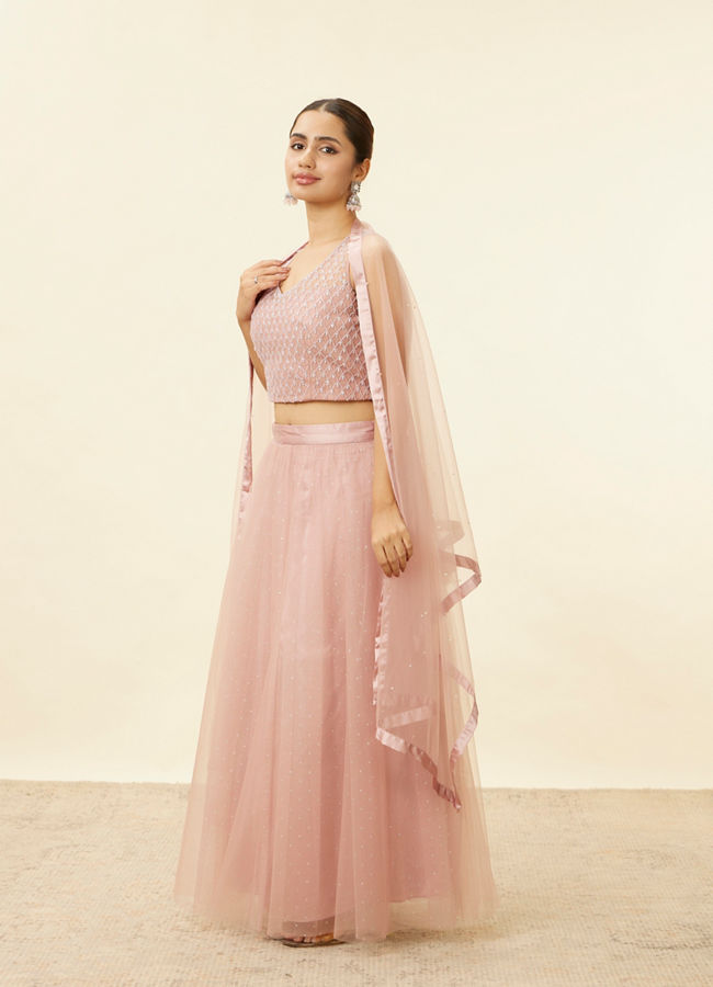 alt message - Mohey Women Light Pink Stone Work Lehenga image number 3