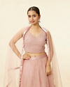 alt message - Mohey Women Light Pink Stone Work Lehenga image number 1