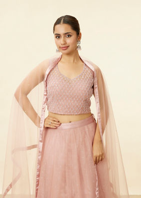 alt message - Mohey Women Light Pink Stone Work Lehenga image number 1