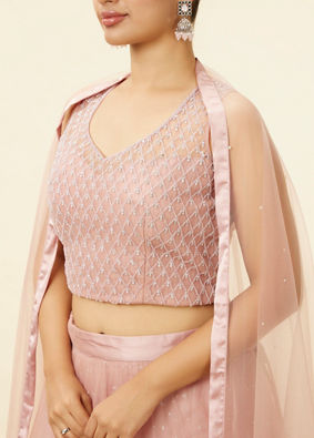 alt message - Mohey Women Light Pink Stone Work Lehenga image number 2