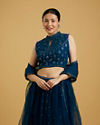 Mohey Women Blue Georgette Lively Lehenga image number 1