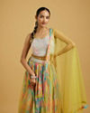 Mohey Women Ethereal Green Chinon Lehenga image number 1