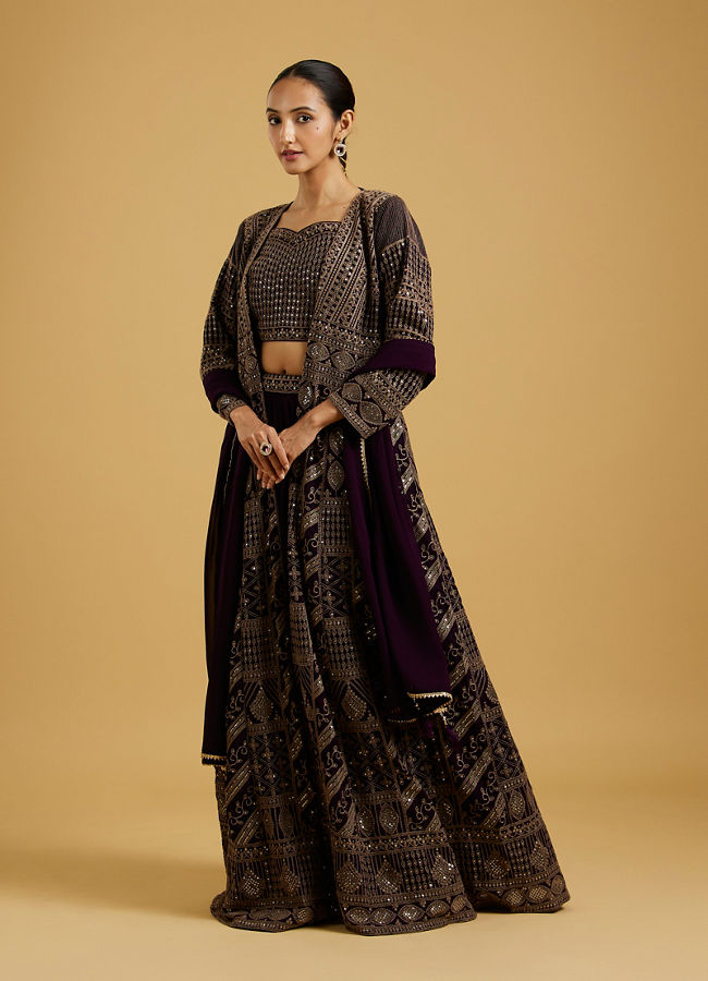 Mohey Women Wine Delight Chiffon Lehenga image number 2