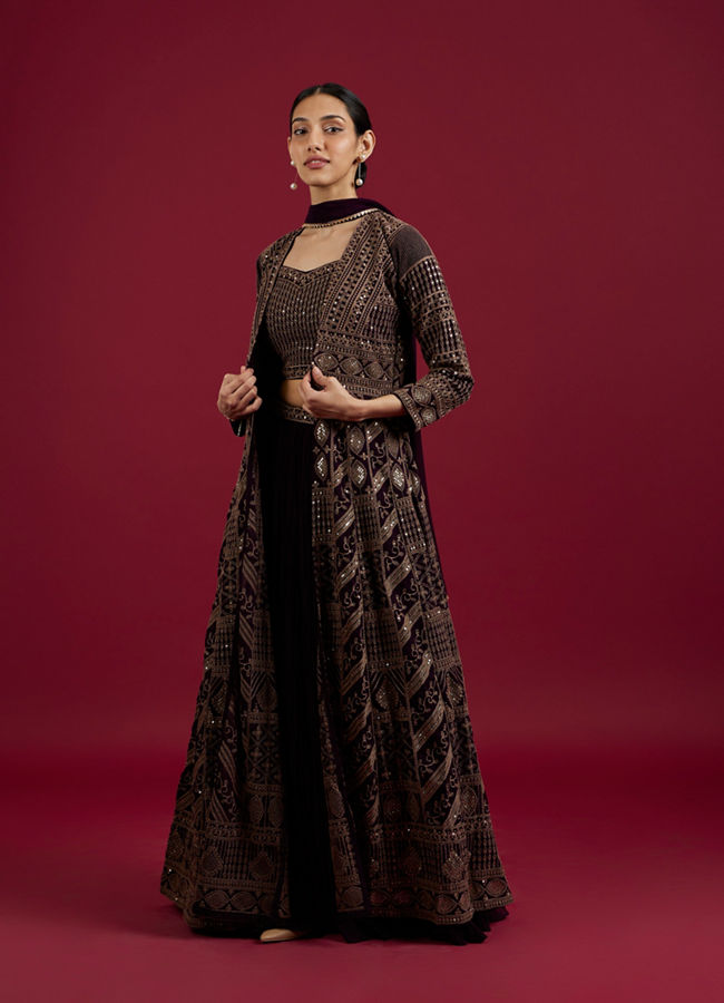 Mohey Women Wine Delight Chiffon Lehenga image number 2