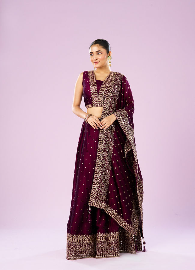 Mohey Women Wine Hued Elegance Lehenga