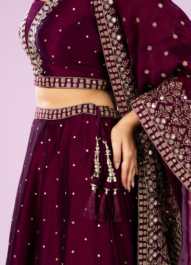 Mohey Women Wine Hued Elegance Lehenga