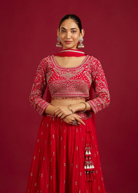 Mohey Women Rani Red Scallop Zari Embroidered Crop Top Lehenga with Sequin Work