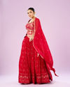 Mohey Women Regal Red Lehenga Ensemble