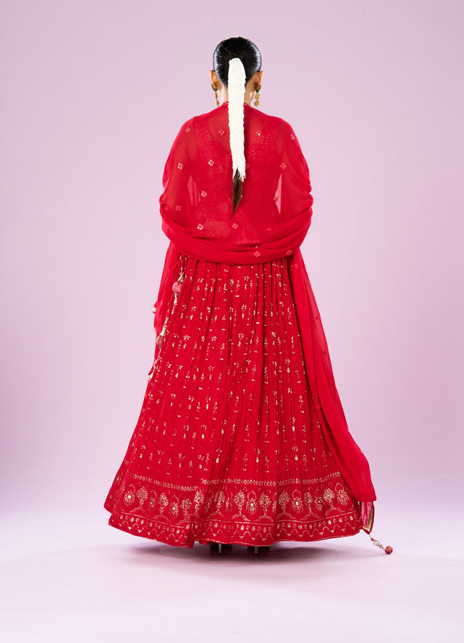 Mohey Women Regal Red Lehenga Ensemble