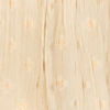 Cream Tissue Elegance Lehenga