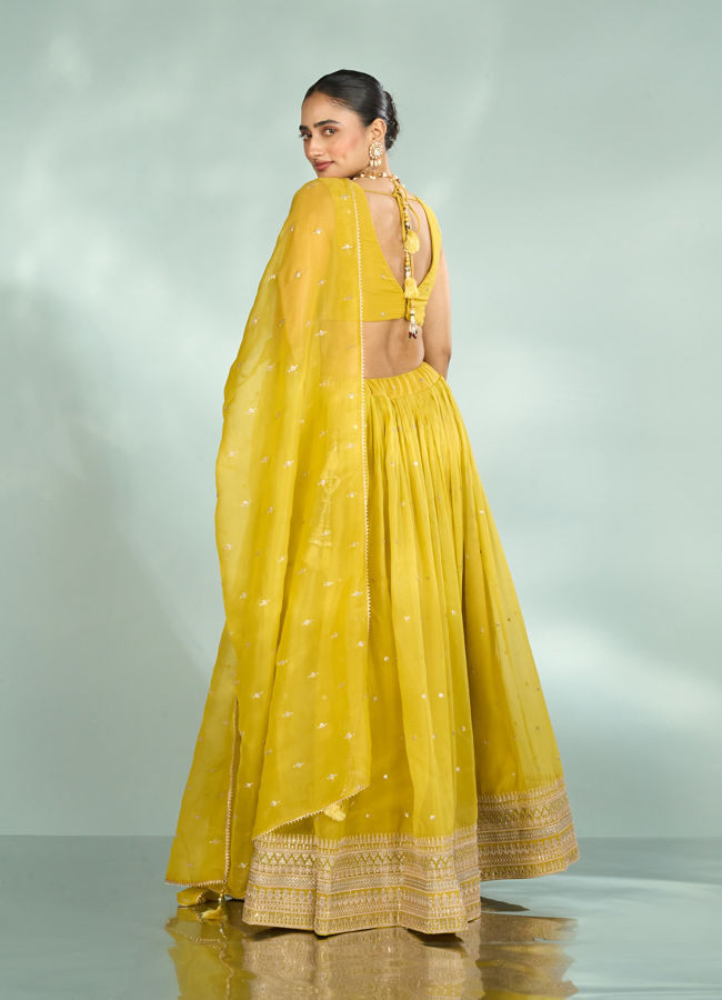 Mohey Women Emerald Organza Lehenga