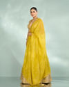 Mohey Women Emerald Organza Lehenga