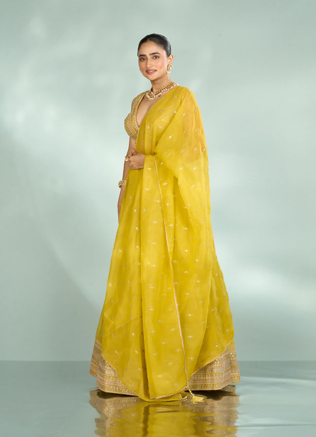 Mohey Women Emerald Organza Lehenga