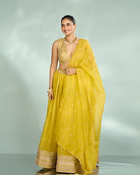 Mohey Women Emerald Organza Lehenga
