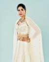 Mohey Women Pearl Mist Georgette Lehenga