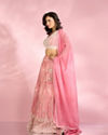 Mohey Women Pink Festive Elegance Lehenga