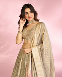 Mohey Women Elegant Grey Peach Lehenga