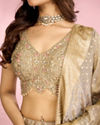 Mohey Women Elegant Grey Peach Lehenga