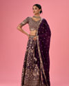 Wine Wonder Georgette Lehenga