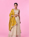 Elegant Beige Tissue Lehenga