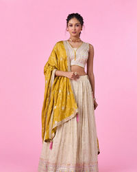 Mohey Women Elegant Beige Tissue Lehenga
