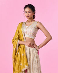 Mohey Women Elegant Beige Tissue Lehenga
