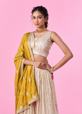 Mohey Women Elegant Beige Tissue Lehenga
