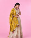 Mohey Women Elegant Beige Tissue Lehenga