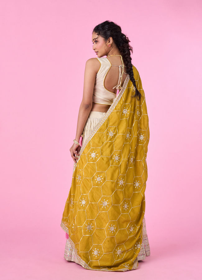 Mohey Women Elegant Beige Tissue Lehenga