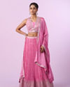 Pink Organza Elegance Lehenga