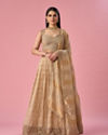 Mohey Women Fawn Organza Lehenga with Moti Work