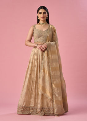 Mohey Women Fawn Organza Lehenga with Moti Work