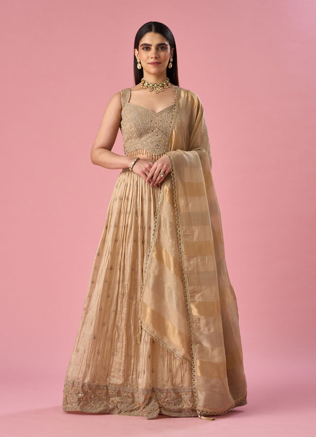 Mohey Women Fawn Organza Lehenga with Moti Work
