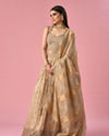 Mohey Women Fawn Organza Lehenga with Moti Work