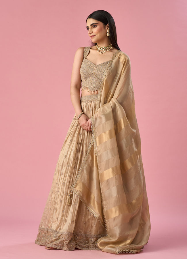 Mohey Women Fawn Organza Lehenga with Moti Work