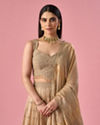 Mohey Women Fawn Organza Lehenga with Moti Work