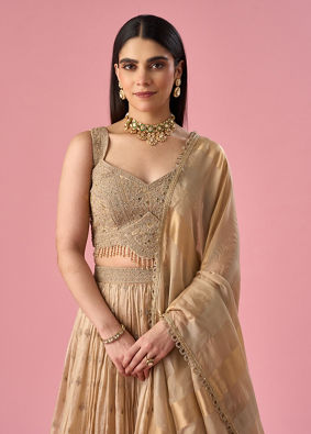 Mohey Women Fawn Organza Lehenga with Moti Work