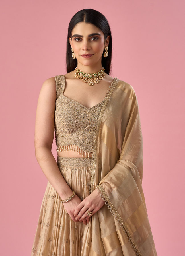 Mohey Women Fawn Organza Lehenga with Moti Work