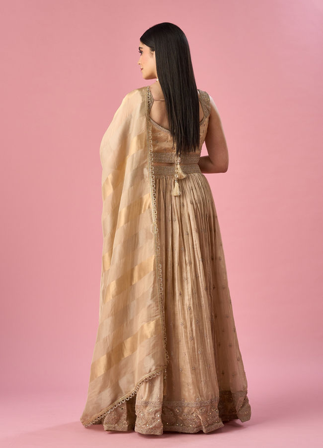 Mohey Women Fawn Organza Lehenga with Moti Work