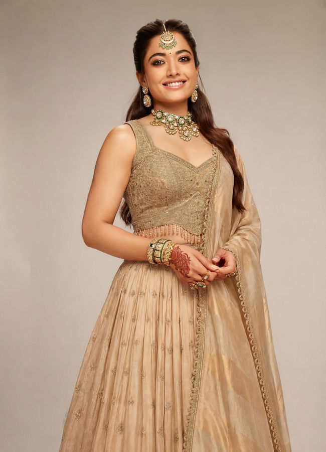 Mohey Women Fawn Organza Lehenga with Moti Work