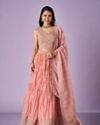 Mohey Women Pink Organza Lehenga with Hand Embroidery